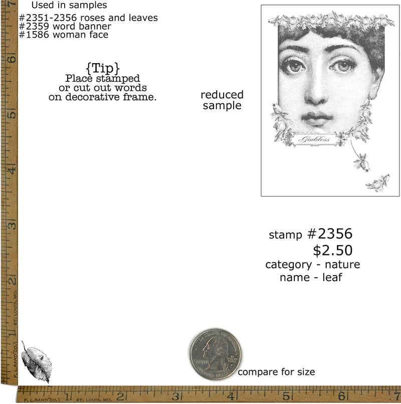 #2356 - Leaf - Nature